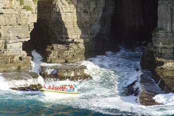 Tasman Island Cruises 3 Hour Cruise - We Wander