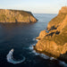 Tasman Island Cruises Full Day Tour From Hobart & Devil Park - We Wander