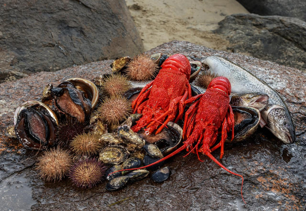 Tasmanian Seafood Seduction - We Wander