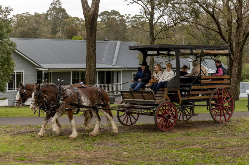 Taste The Valley - Full Day Horse Carriage Wine Tour With Lunch (Minimum 4 People ) - We Wander