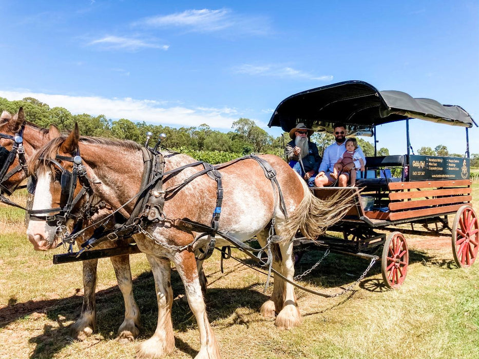 Taste The Valley - Full Day Horse Carriage Wine Tour With Lunch (Minimum 4 People ) - We Wander