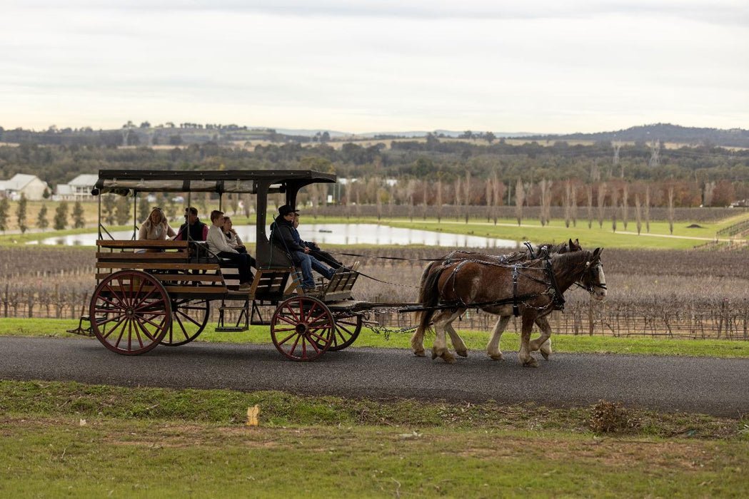 Taste The Valley - Full Day Horse Carriage Wine Tour With Lunch (Minimum 4 People ) - We Wander