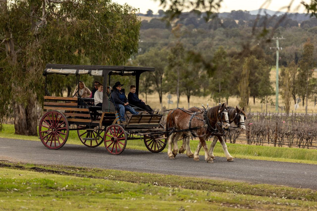 Taste The Valley - Full Day Horse Carriage Wine Tour With Lunch (Minimum 4 People ) - We Wander