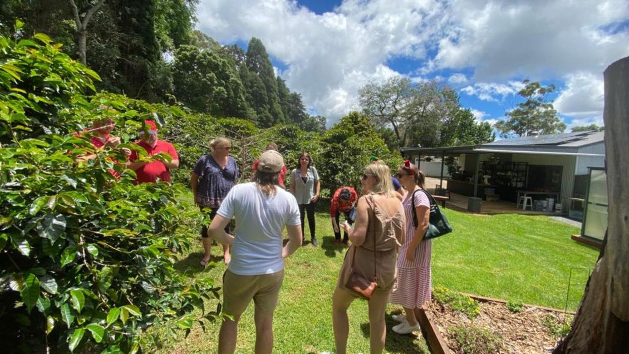 Tastes Of Tamborine Mountain Tour - We Wander