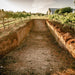Tour And Private Tasting At Digiorgio Family Wines - We Wander