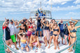 Whale Shark Adventure Swims Exmouth - We Wander