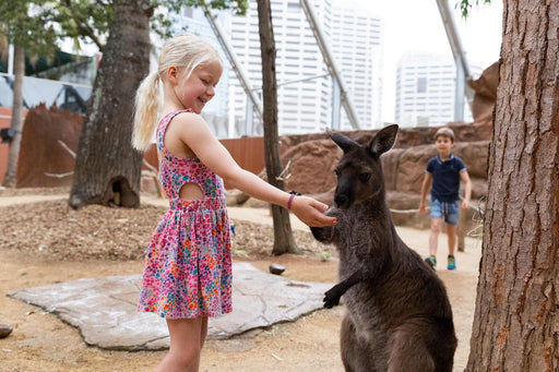 Wild Life Sydney Zoo - Daily Offpeak - We Wander