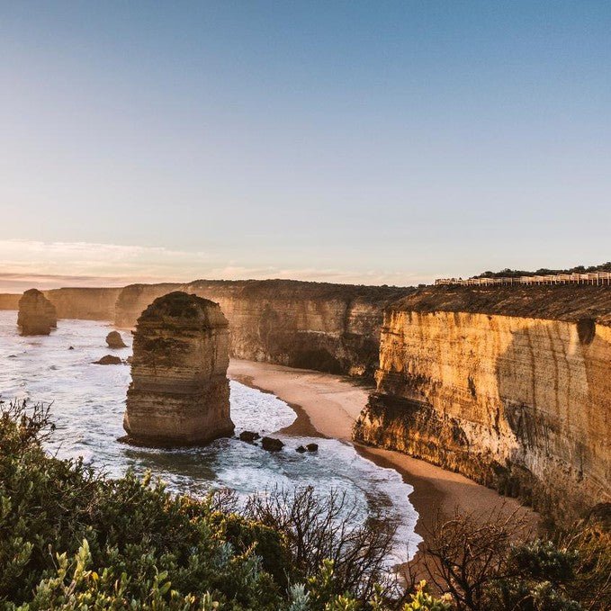 Wildlife Tours Australia: Great Ocean Road Rainforest Tour - We Wander