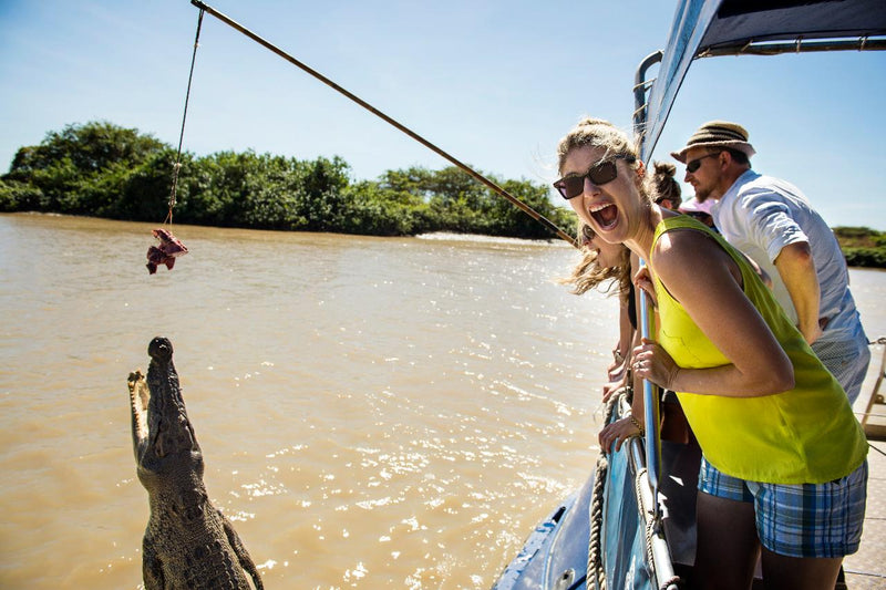 Wildlife Tours Australia: Jumping Crocodile Tour - We Wander