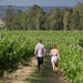 Wine Tasting 2 Venues - We Wander