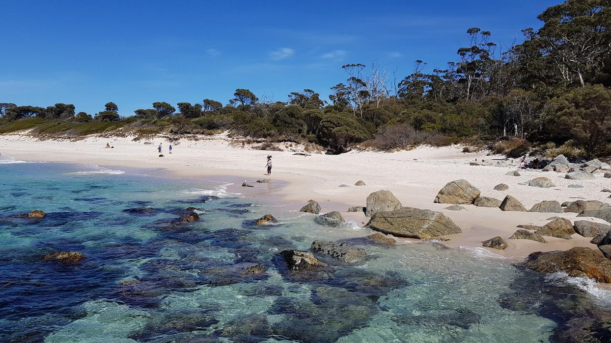 Wineglass Bay & Freycinet Peninsula Day Tour - We Wander