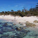 Wineglass Bay & Freycinet Peninsula Day Tour - We Wander