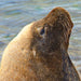 Winter Wildlife Cruise Includes Fresh Fish & Chips Lunch - We Wander