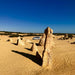 Yanchep, Lancelin, And Pinnacles Exclusive Private Full Day Tour - We Wander