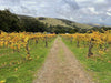 Yarra Valley Wine Tour - Full Day Public Tour - We Wander