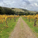 Yarra Valley Wine Tour - Full Day Public Tour - We Wander